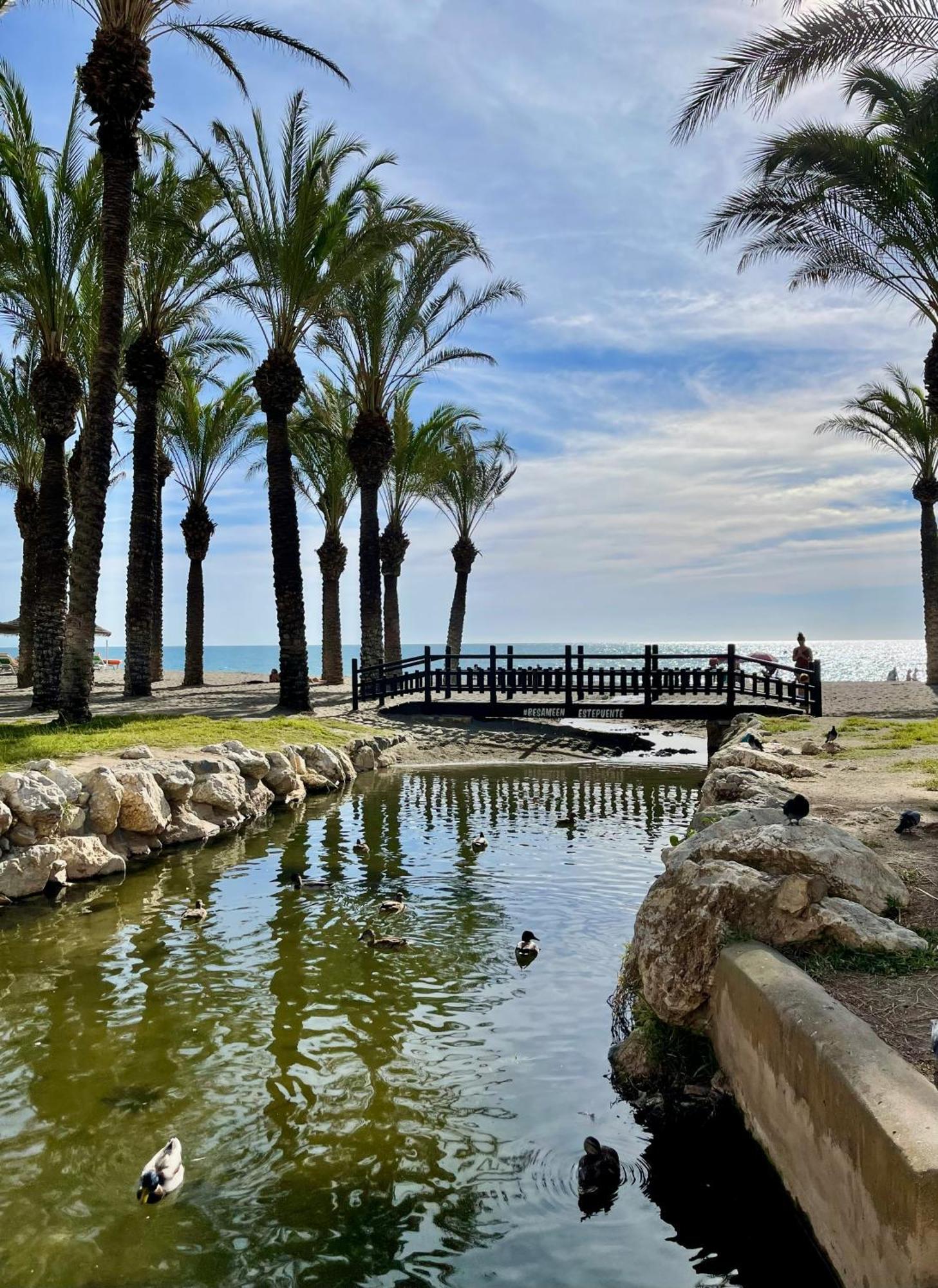 Sunstay Cosy Flat I Cristo Málaga Dış mekan fotoğraf